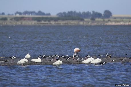 Laguna Epecuén (enero 2021)