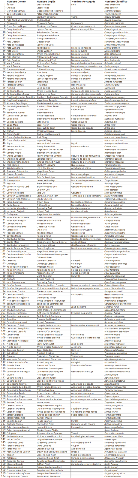 Viaje a la Patagonia Austral (2° parte)