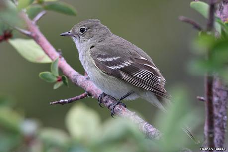 Viaje a la Patagonia Austral (2° parte)