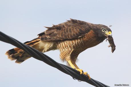 Viaje a la Patagonia Austral (2° parte)