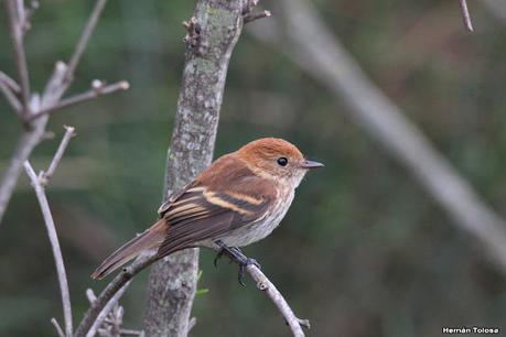 Viaje a la Patagonia Austral (2° parte)