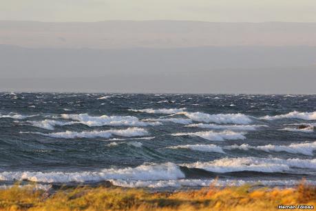 Viaje a la Patagonia Austral (2° parte)