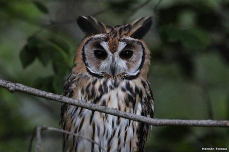 Viaje a la Patagonia Austral (2° parte)