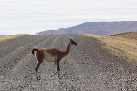 Viaje a la Patagonia Austral (2° parte)