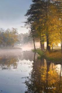 5.018 - CERCA DEL PUENTE...