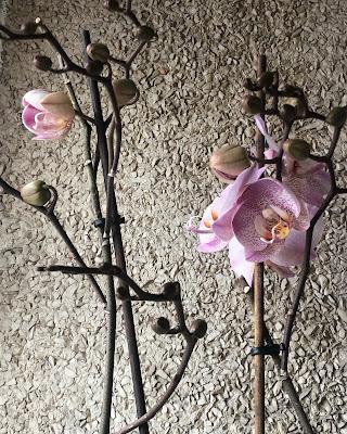 Entre cafés, médicos y notas.