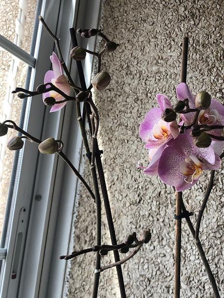 Entre cafés, médicos y notas.