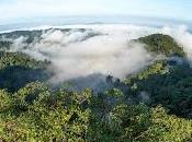 “Chocó Andino” bosque Quito necesita nuestra protección
