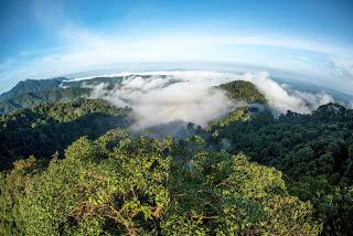 “Chocó Andino” El bosque de Quito que necesita nuestra protección “Chocó Andino” El bosque de Quito que necesita nuestra protección