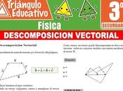 Descomposición Vectorial para Tercero Secundaria