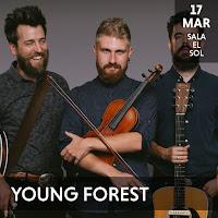 Concierto de Young Forest en Sala el Sol