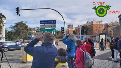 El Madrid de las aves marinas, rapaces y zancudas. Y no es el zoo