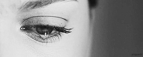 OS DOY MI PAZ Y MI PALABRA...