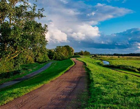 Calendario Ambiental de dĂas mundiales e internacionales Calendario Ambiental de dĂas mundiales e internacionales