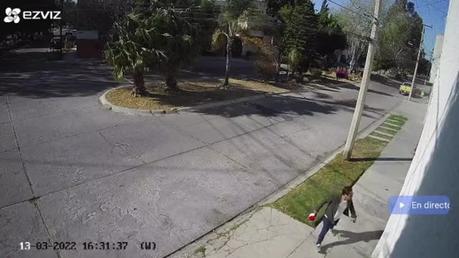 (Vídeo) Hombre ataca cobardemente a un perro y potosinos lo condenan