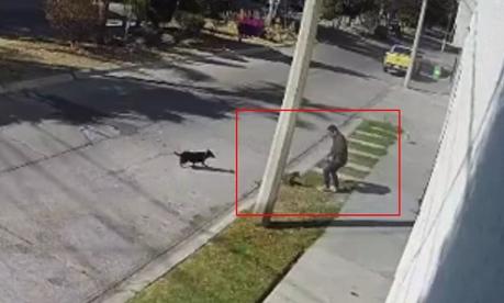 (Vídeo) Hombre ataca cobardemente a un perro y potosinos lo condenan