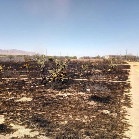 Atiende Protección Civil del Estado incidentes por fuertes vientos