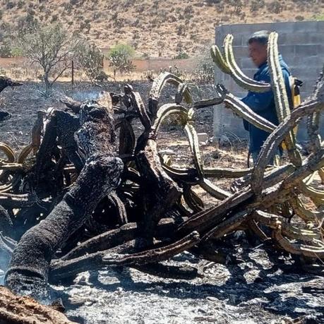 Atiende Protección Civil del Estado incidentes por fuertes vientos