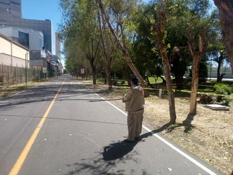 Atiende Protección Civil del Estado incidentes por fuertes vientos