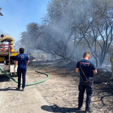 Atiende Protección Civil del Estado incidentes por fuertes vientos