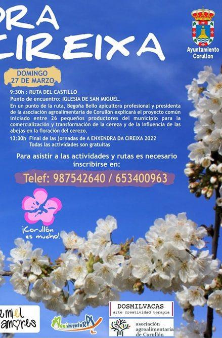Corullón celebra la floración del cerezo con rutas y actividades durante el último fin de semana de marzo 3 Corullón celebra la floración del cerezo con rutas y actividades durante el último fin de semana de marzo 2