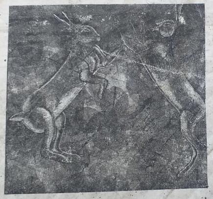 Fauna. Transcripción de una prosa urbana sin autoría