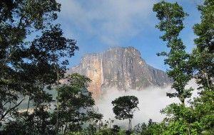 Foto de AlexandreHenryAlves. Canciones a la Tierra