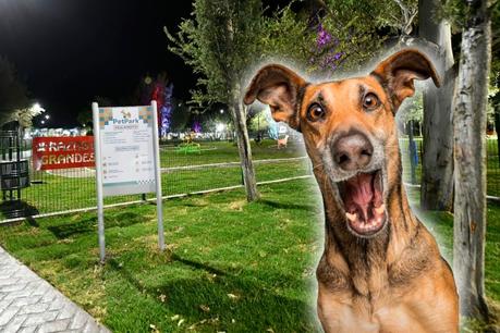 Se reglamentará acceso de mascotas al Tangamanga I Se reglamentará acceso de mascotas al Tangamanga I