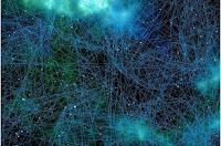 Mapean neuronas para encontrar cura para el dolor crónico