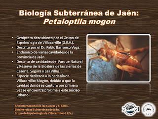 Biología Subterránea de Jaén (IX)