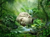 Weezer Wild heart (2022)