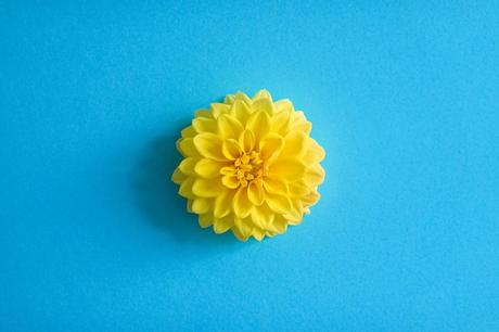 Y mientras tanto… Y mientras tanto…