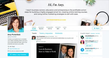 perfil-optimizado-twitter-amy
