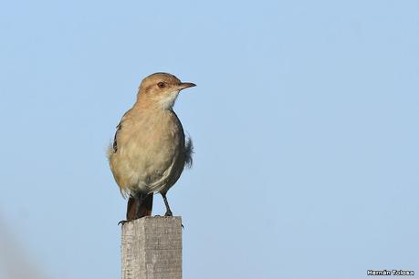 Recorriendo el campo en febrero