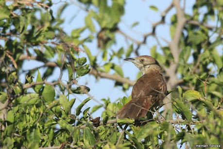 Recorriendo el campo en febrero