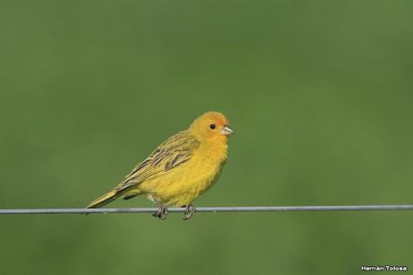 Recorriendo el campo en febrero