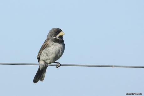 Recorriendo el campo en febrero