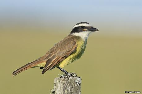 Recorriendo el campo en febrero
