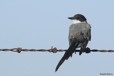 Recorriendo el campo en febrero
