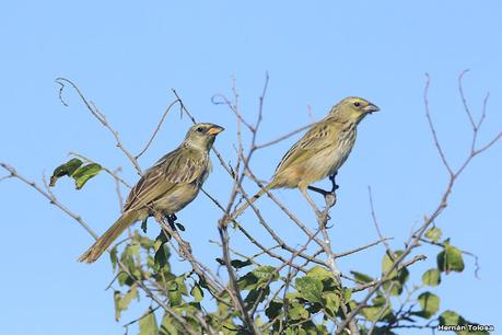 Recorriendo el campo en febrero