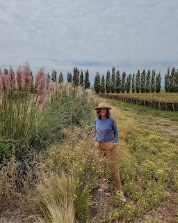 Mendoza en Vendimia: disfrutar entre montañas y vides Mendoza en Vendimia: disfrutar entre montañas y vides