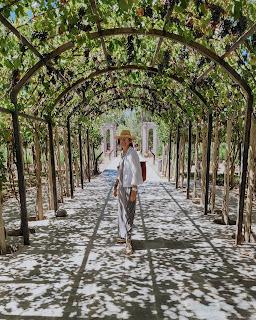 Mendoza en Vendimia: disfrutar entre montañas y vides Mendoza en Vendimia: disfrutar entre montañas y vides