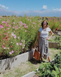 Mendoza en Vendimia: disfrutar entre montañas y vides