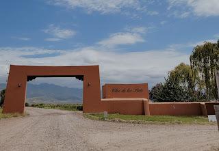 Mendoza en Vendimia: disfrutar entre montañas y vides Mendoza en Vendimia: disfrutar entre montañas y vides