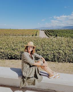 Mendoza en Vendimia: disfrutar entre montañas y vides Mendoza en Vendimia: disfrutar entre montañas y vides