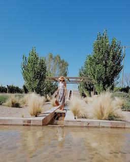 Mendoza en Vendimia: disfrutar entre montañas y vides Mendoza en Vendimia: disfrutar entre montañas y vides