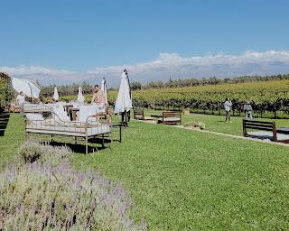 Mendoza en Vendimia: disfrutar entre montañas y vides Mendoza en Vendimia: disfrutar entre montañas y vides