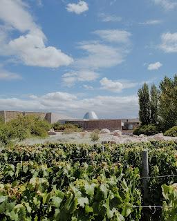 Mendoza en Vendimia: disfrutar entre montañas y vides Mendoza en Vendimia: disfrutar entre montañas y vides