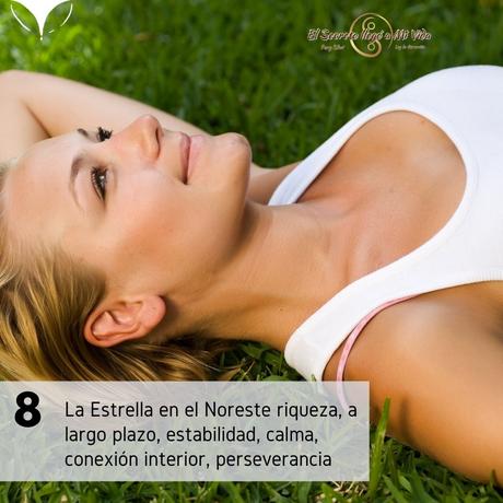 Estrella 8 en el noreste