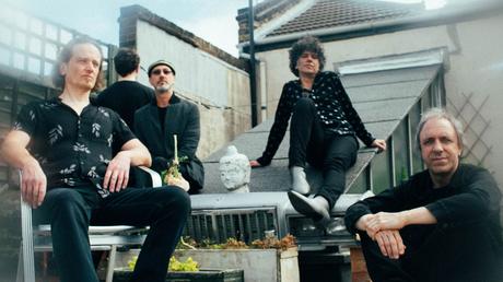 Gong - Pulsing Signals (2022)